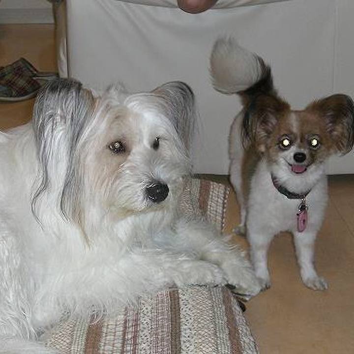 E81dbd29 683c 40a0 9eee 5cd4ba204de6 1507623945793