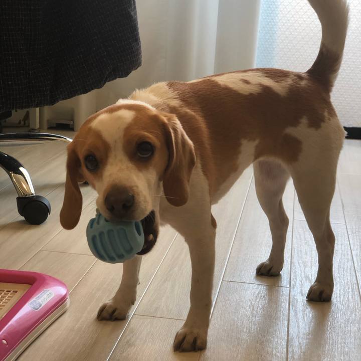 E81dbeaa 83ba 4825 8957 1fa314f2a78a 1581312198441