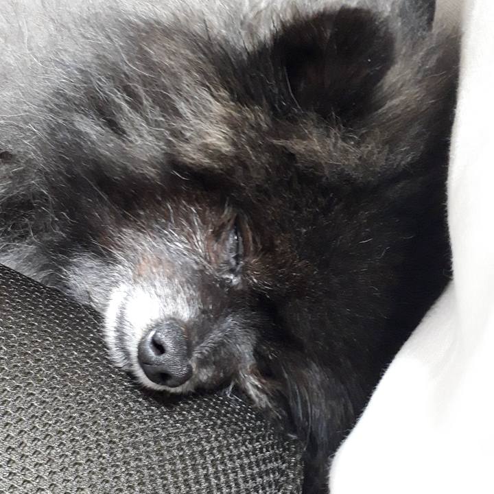 E81e13fa 9a2a 4c14 97b0 7ad4a927cc0a 1546993415126