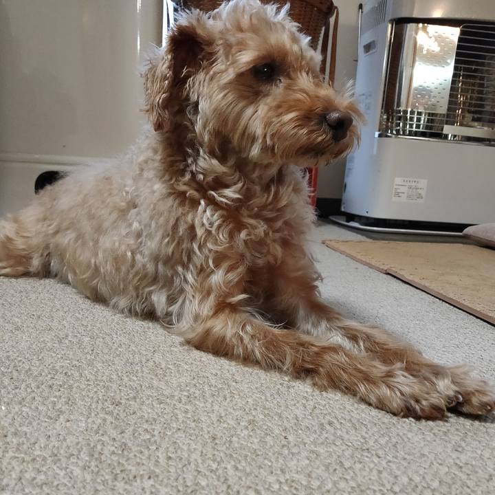 E81e1874 543f 4e0e b4ae 239c52c3eab6 1583877306675