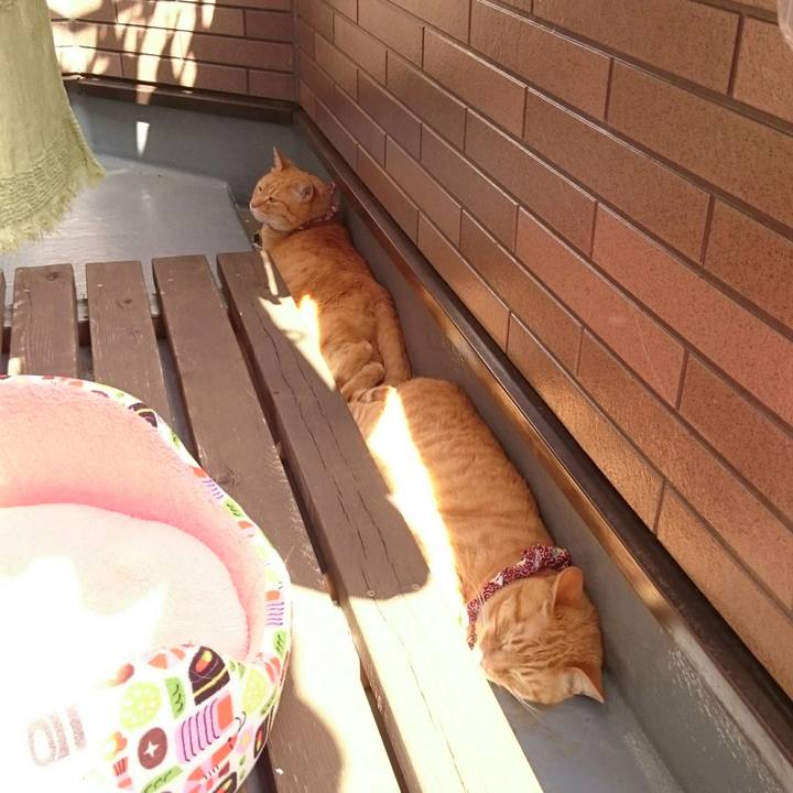 E81e1adb c651 4a28 b838 8983b0ef94a5 1527918902238