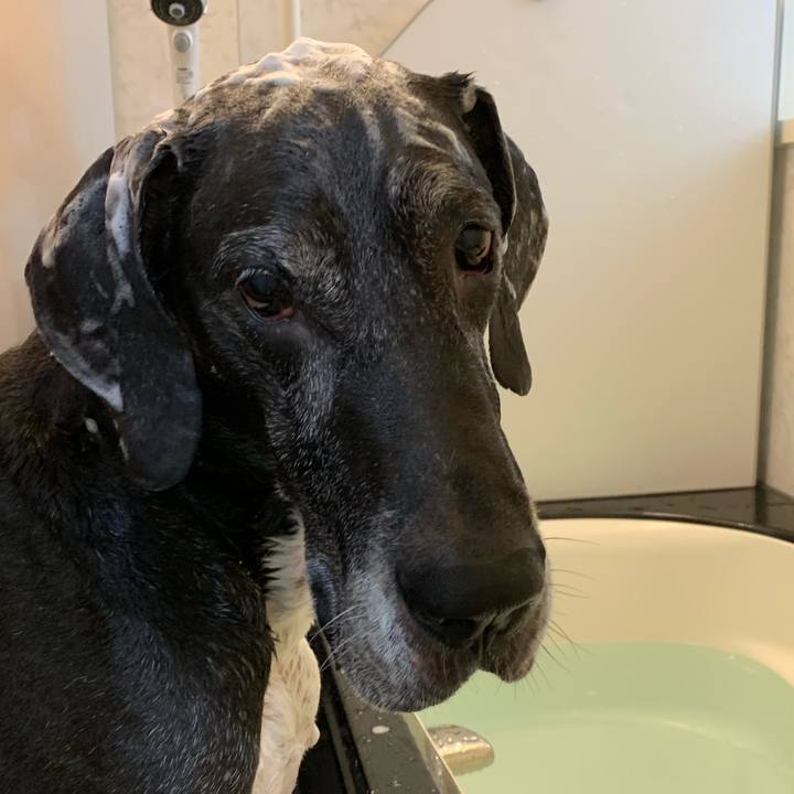 E81e655b 581d 4020 bd91 6e9a16135d60 1560582616935