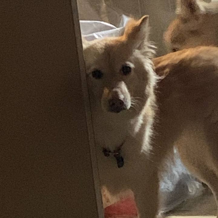 E81e76d0 4821 4fef ba7d a5a470f3040c 1660443340188