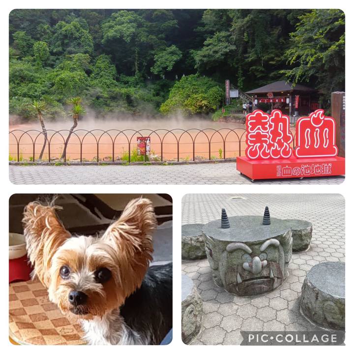 E81ec6bb e2d2 4dce ae3c 210275204890 1752057121855