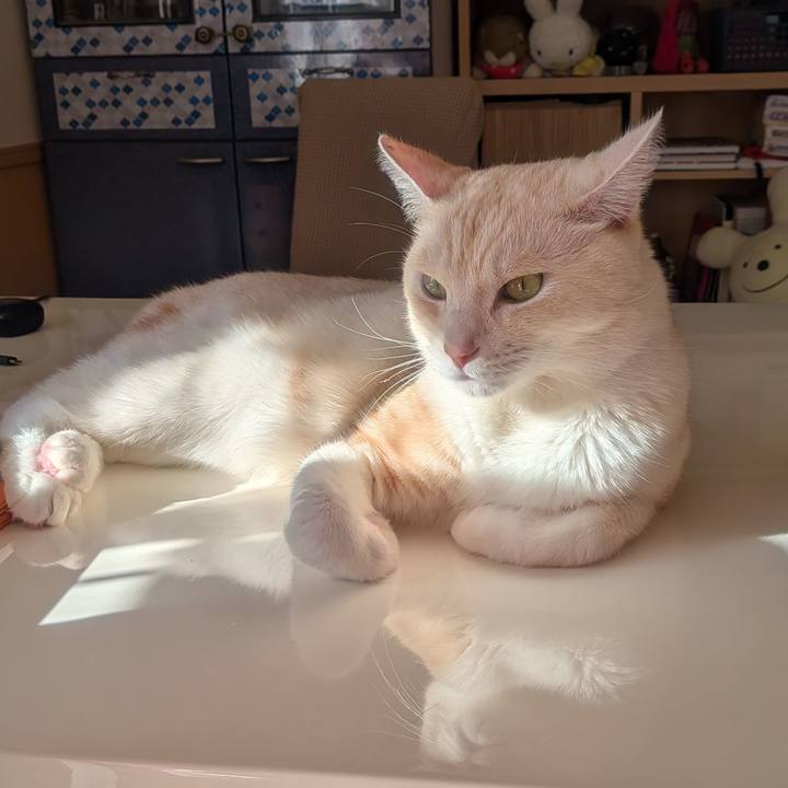 E81ed7ed c940 40e4 b2b5 1c78f6f91b47 1768613962252