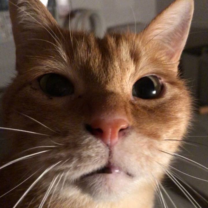 E81ef5d6 6773 4a08 a01a e933ad7447d1 1675773632195