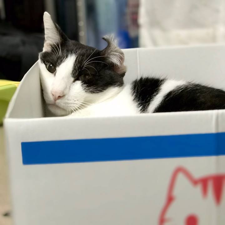 E81f335b 025a 47ef 8b51 3358ffd97b7f 1537492084189