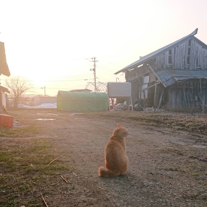 E81f576e e189 4a8c 9b2a b98aef99d3c4 1649279535640