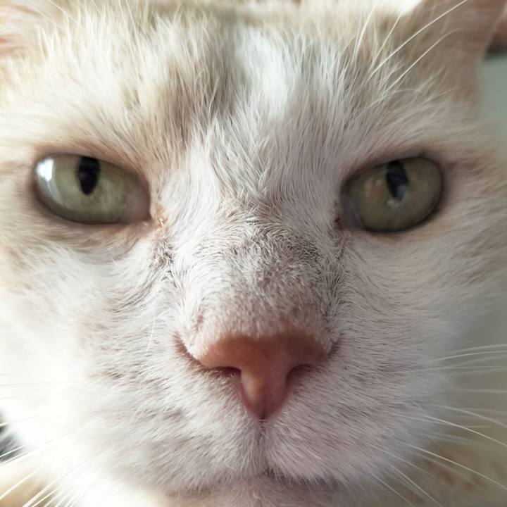 E81f7c8b e670 454b 9a14 56b7a713c241 1693039047520