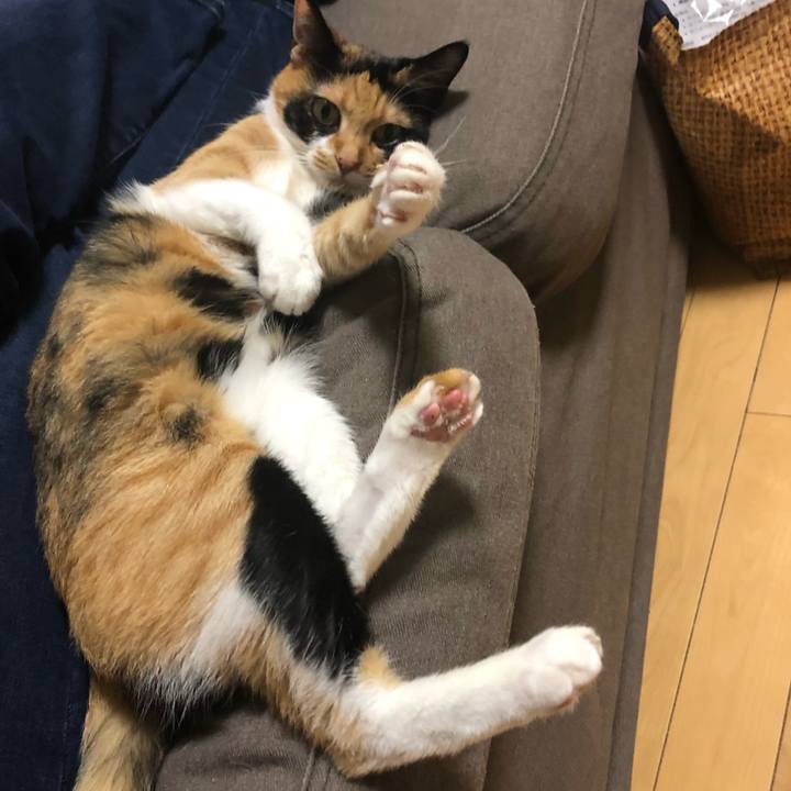 E81f8398 74be 4efe 94a7 f5306883c276 1569144098527