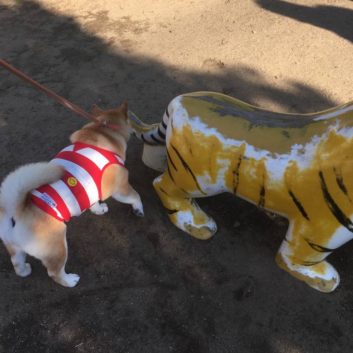 E81f8c2c 9ecd 4397 91b3 ff3579ab74d0 1552036229596