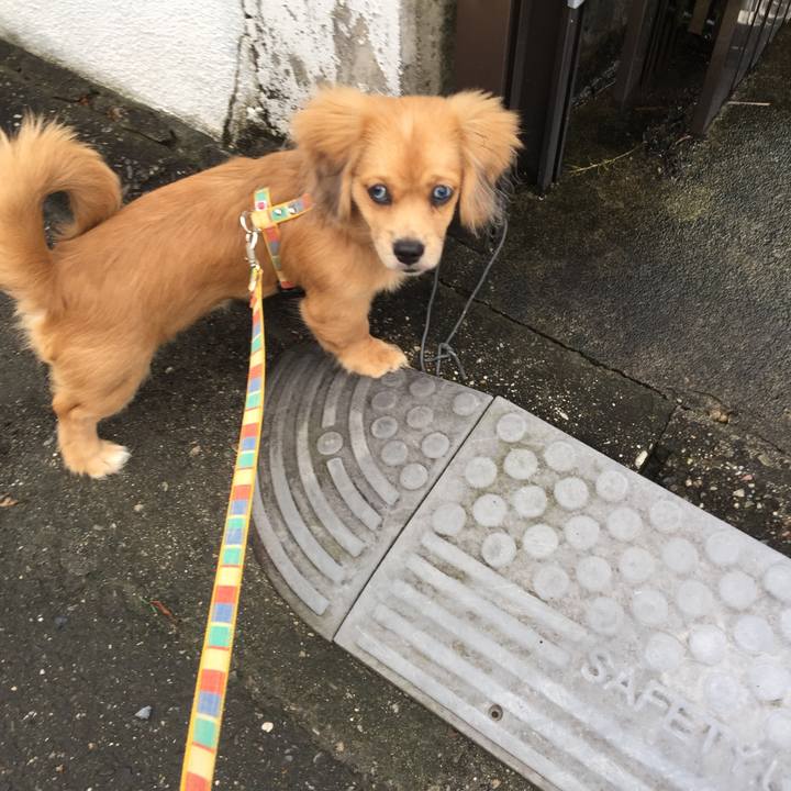 E81f9d47 cebc 4aa7 8f02 328ad876e474 1536960216107