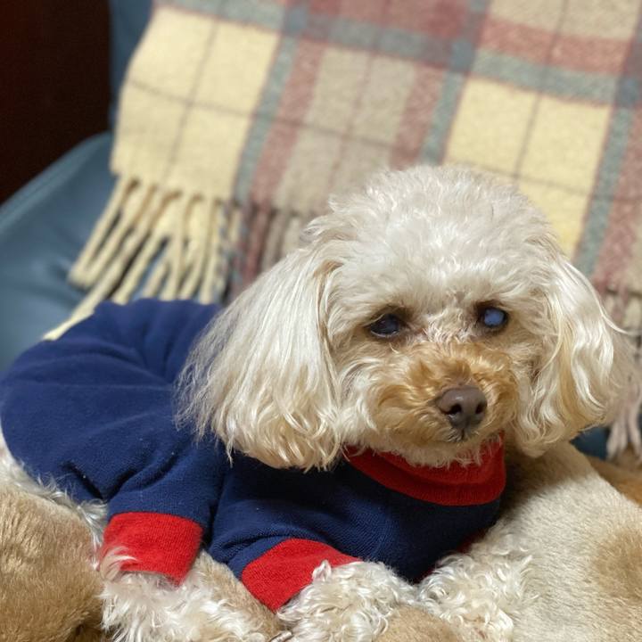 E81faf2b 7d76 4f3b 9b07 eb1303c80c52 1613644532348