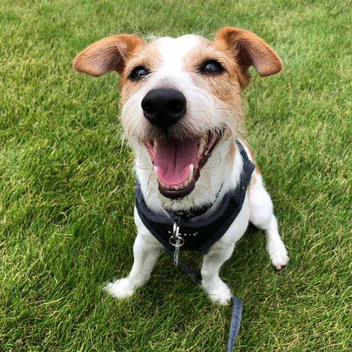 E81fcc71 9dba 4bf4 a8bf 6b01f86155ed 1569053364152