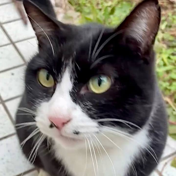 E81fee6f ad6c 4b16 8f82 3a8eb9db38cd 1766648081101