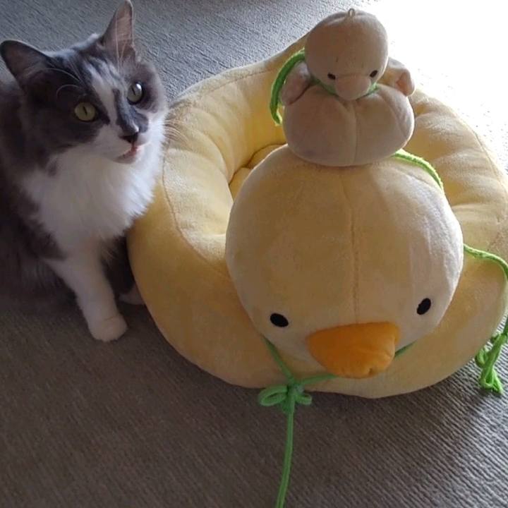 E81ffaed b464 46ae a7b8 edcd4236da37 1666578835469