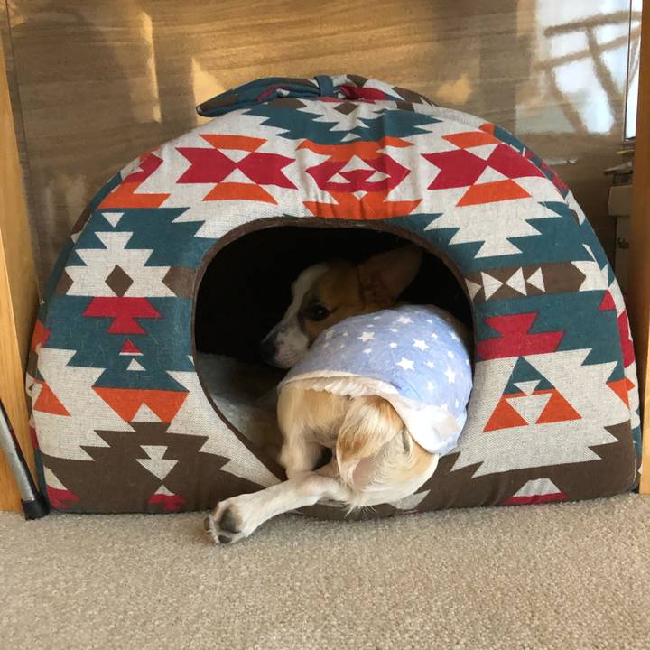 E81fffa2 621c 49c7 92ce f438a172eef8 1554902699447