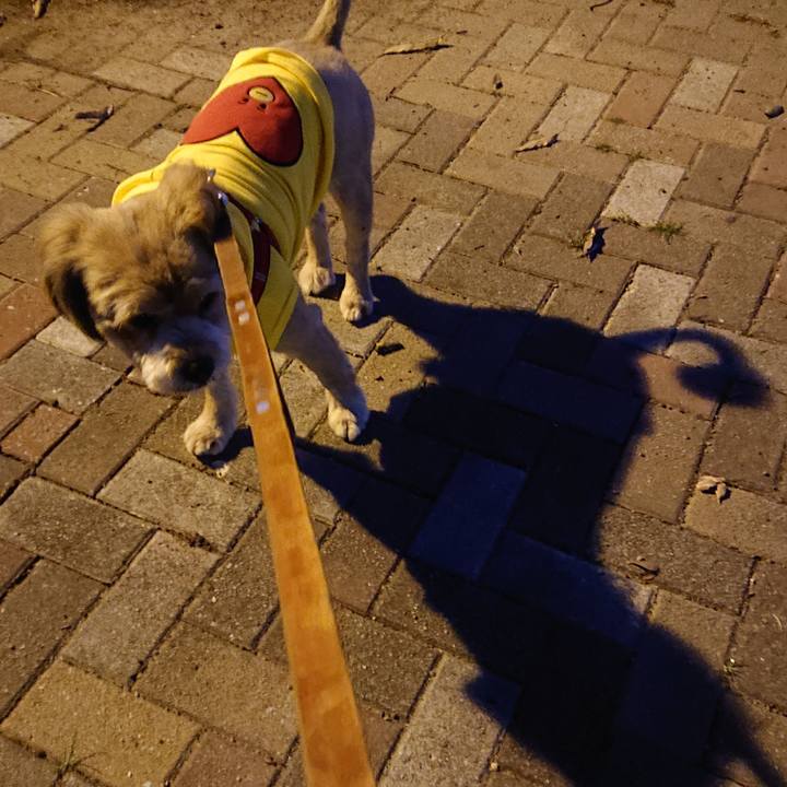 E8200185 cfdf 493d b624 15dc7635875a 1576188059597