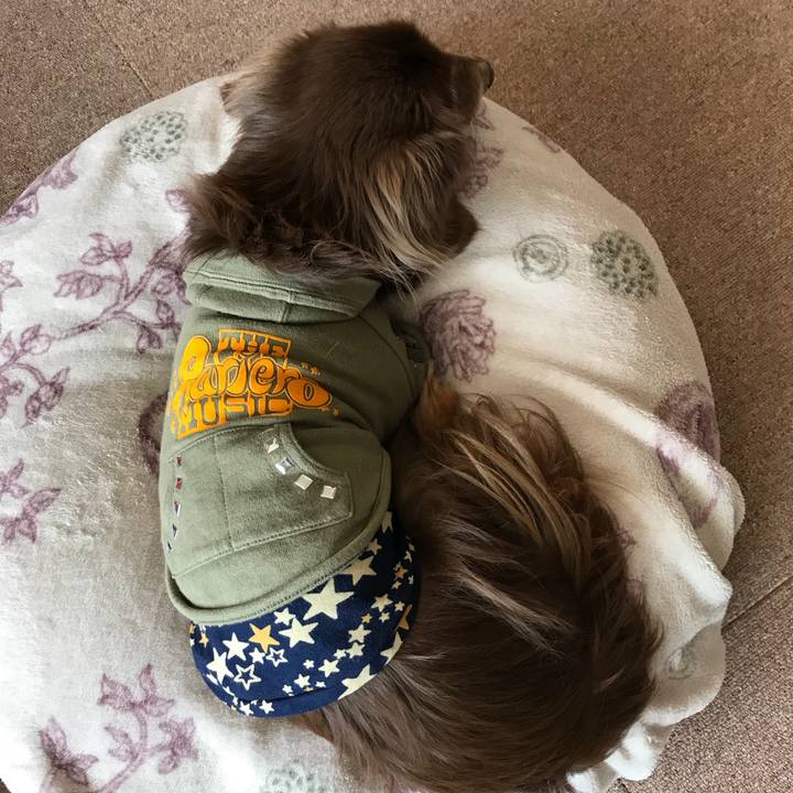 E8201dab ab23 478f abd7 2e9440882fc3 1520732901931