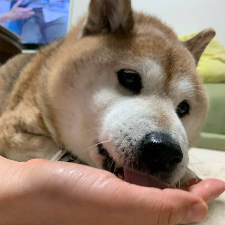 E8202ca4 05dd 48bb 9294 07d959137ca3 1590617695689