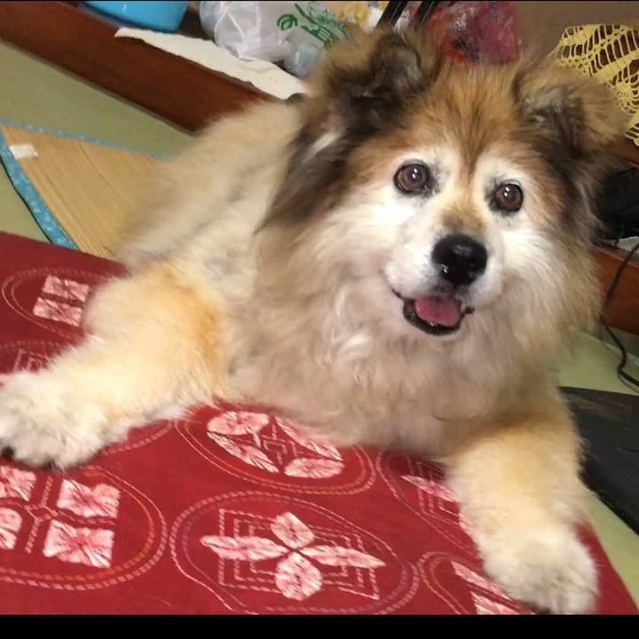 E8204823 5697 48b5 9a2b e6861adf4677 1630882368381