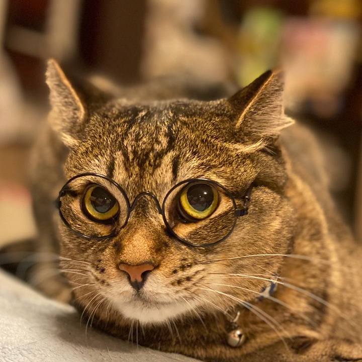 E820485b 7c8b 4007 89aa 1d58f94b3551 1595371598253