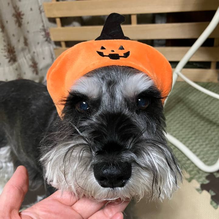 E8205ba1 77d7 408f a5b3 11422e106e30 1730121219028