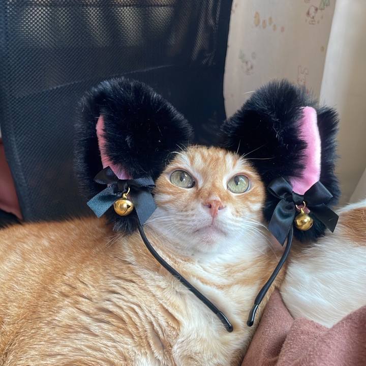 E8205ff8 13ae 4a90 9285 a94eeadb2e40 1680520962141