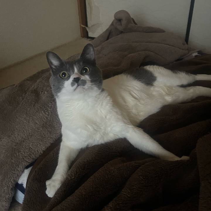 E8209526 68b7 47f6 affd 4783f93a3f39 1713646198660