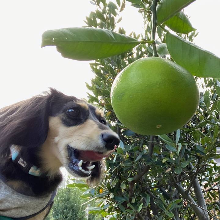 E820a047 f2af 4e81 9ec2 343632557d0f 1698017610731