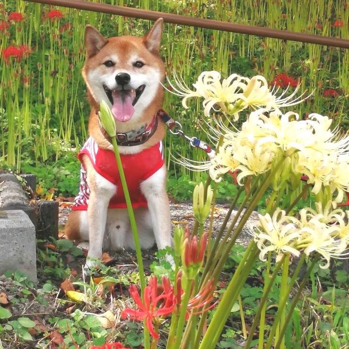 E820a0fc 9cf8 4841 a0b5 b51c21f2618d 1663324407862