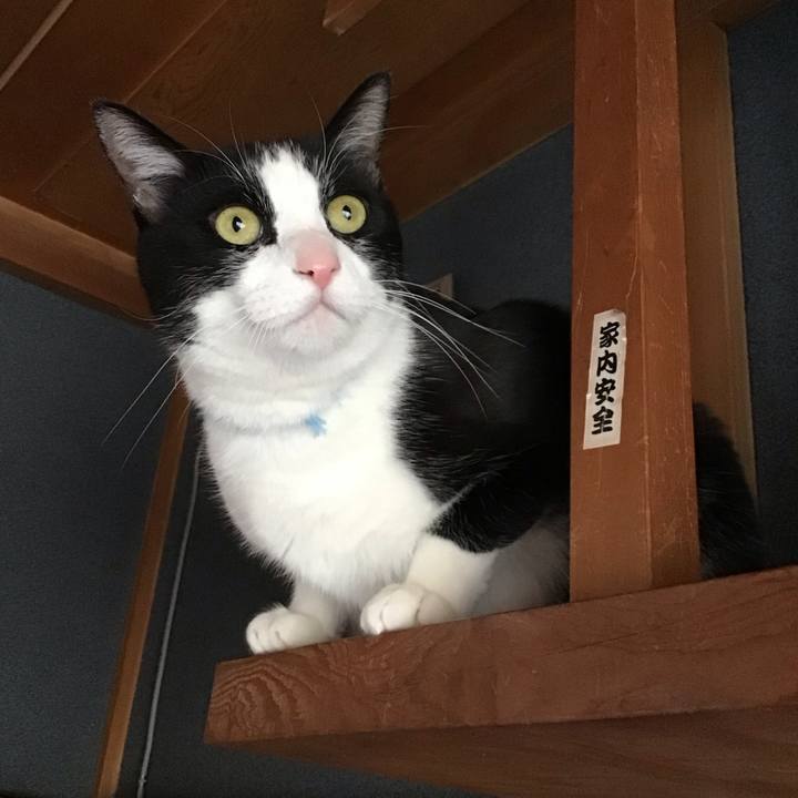 E820a29a 3dcf 4b0e a6ac 301fa8d88542 1742091035205