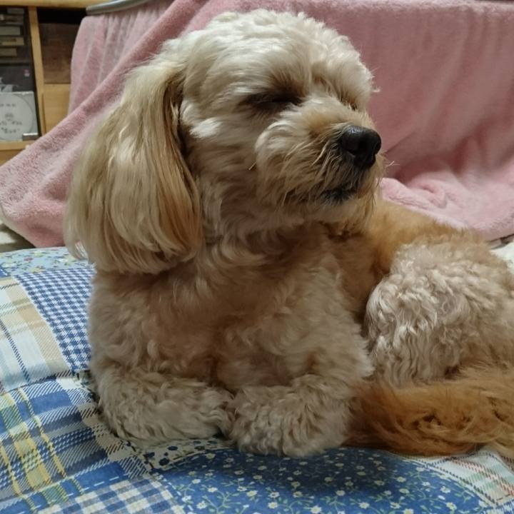 E820ba14 138b 4b3b a0b6 d23422a5555e 1511877650919