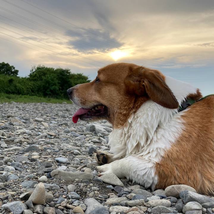 E820f422 bbfd 4bd7 8bf4 f3deae5dfbdc 1753236509730