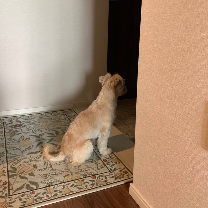 E8218ad7 9316 4935 a622 ebb0ef053ac3 1569848619195