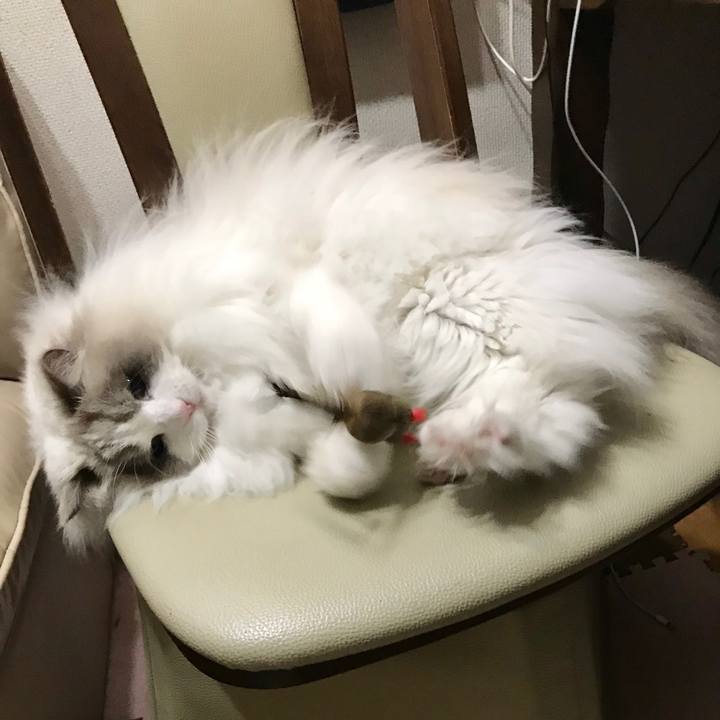 E8219794 a37b 4617 9014 6cedc310afef 1578645117315