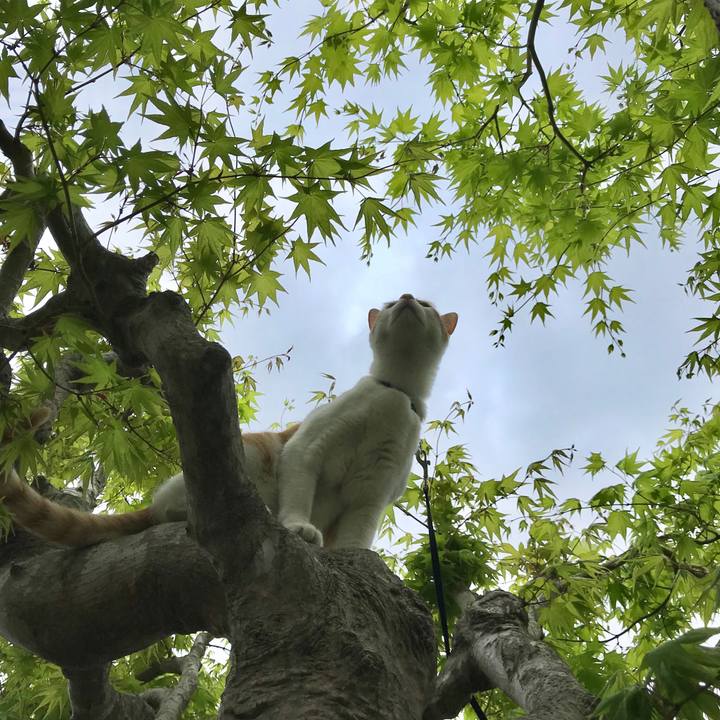 E821d776 6137 43c0 ae56 afe5742336d9 1525248959465