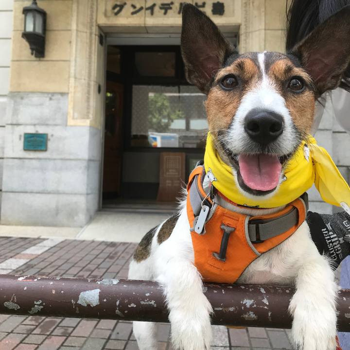 E821dbfb d27e 4a11 937c 4bb367dab604 1763861188216