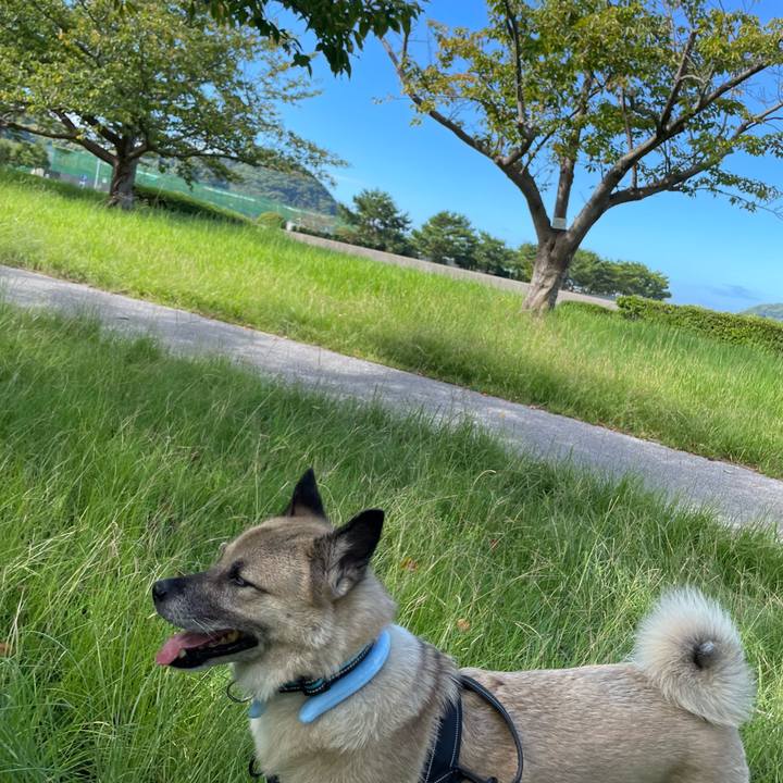 E821f7be c0e1 400f 9b55 f8ec4d8cbcb8 1726489102201