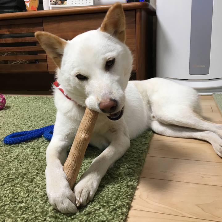 E8221830 3c14 4c89 9b4d 6449fa802319 1512723229446