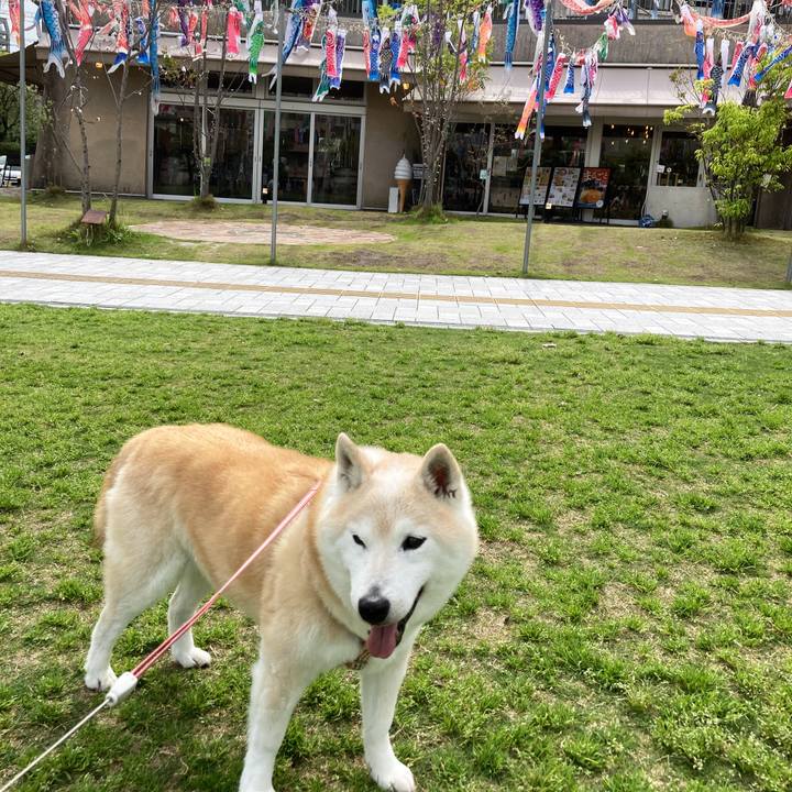 E82250b6 0bfc 4bdd 8641 8f56320bfb61 1731307583917