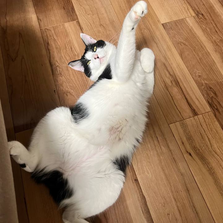 E8227314 6a24 46d7 97ee 2a12daa62038 1693233551035