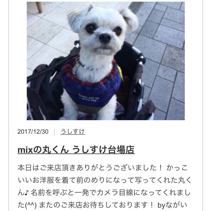 E822d583 1514 4f31 8858 36f6408e6a7b 1514638667218