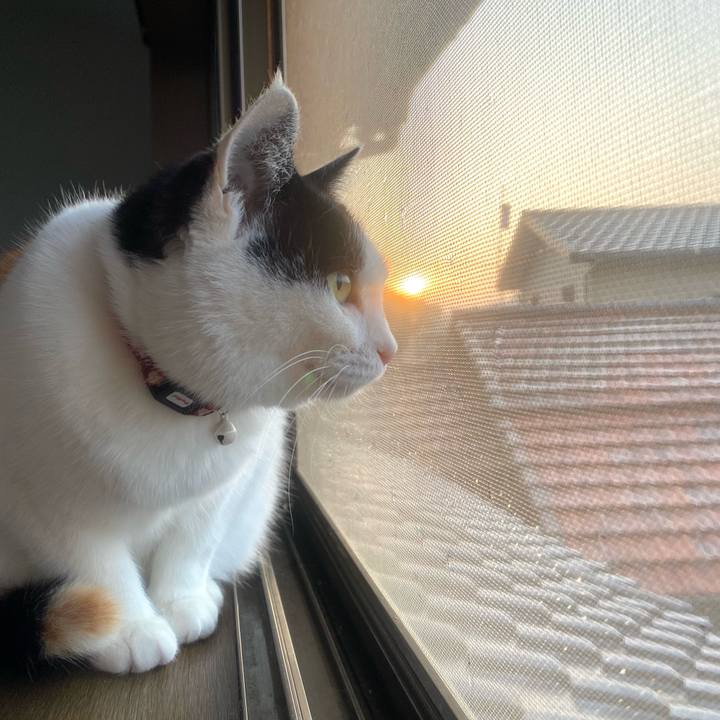 E8232dda 8e41 4d55 8814 1628284f7132 1648159953928