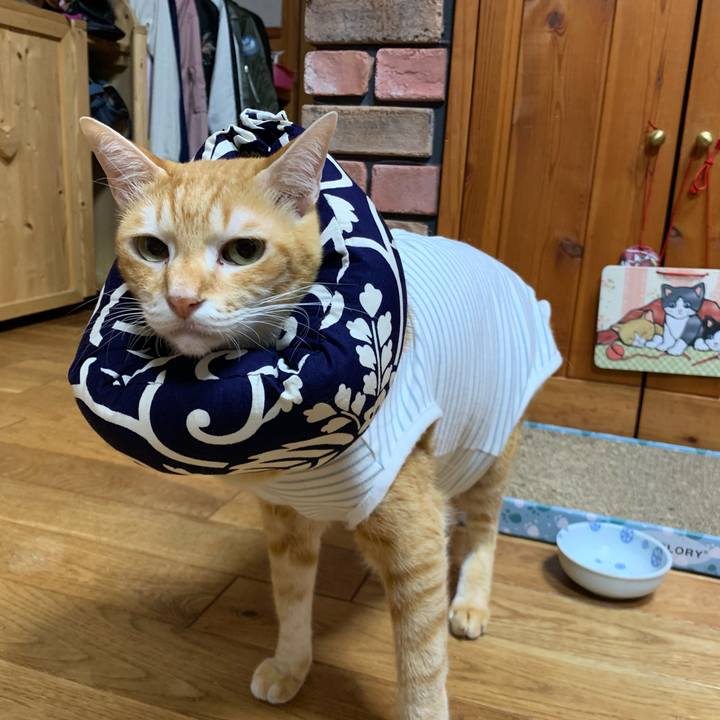 E8235001 9b9d 465c a156 5ae867b058ca 1570975006763