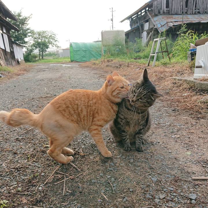 E823598d c565 4e59 ad82 217c9b0d9709 1658180988165