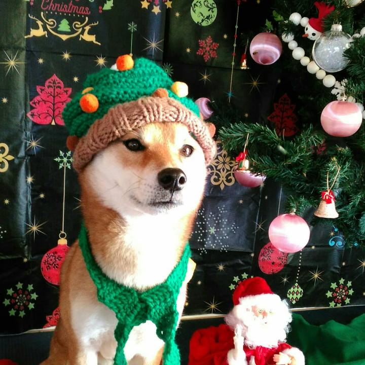 E823613d 85f8 4dda ba7c 37e216d2e7ff 1513303258487