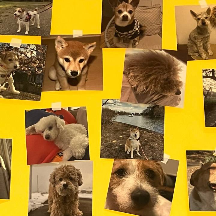 E8238305 39c7 415d b863 dc33b7276d63 1774243252027