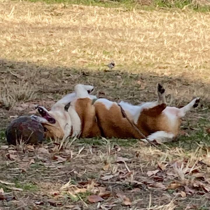 E82395c5 a610 42da a421 8bcf392f0fbc 1733969728164