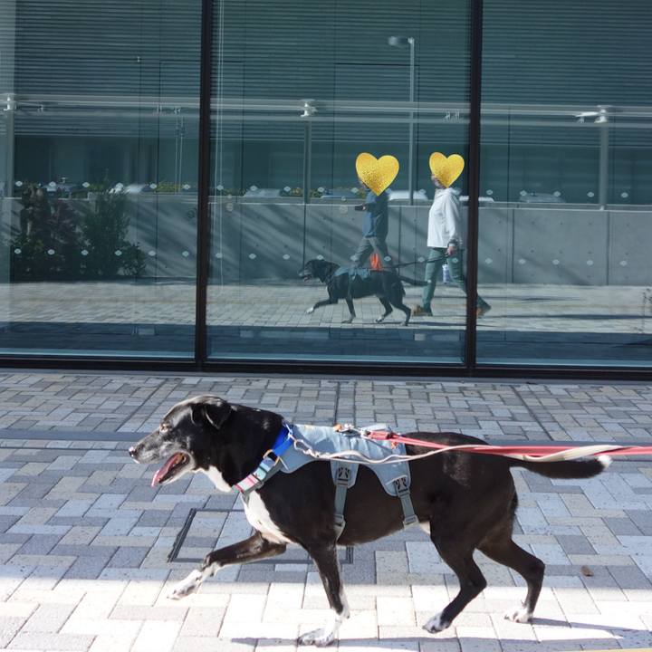 E823be41 30f1 41d6 bb66 03d12fec97ca 1744677173417